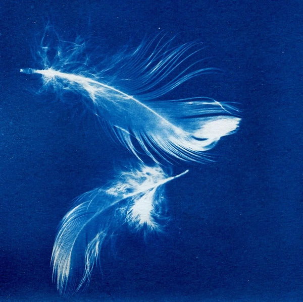 Kit CYANOTYPE "7 Blätter"