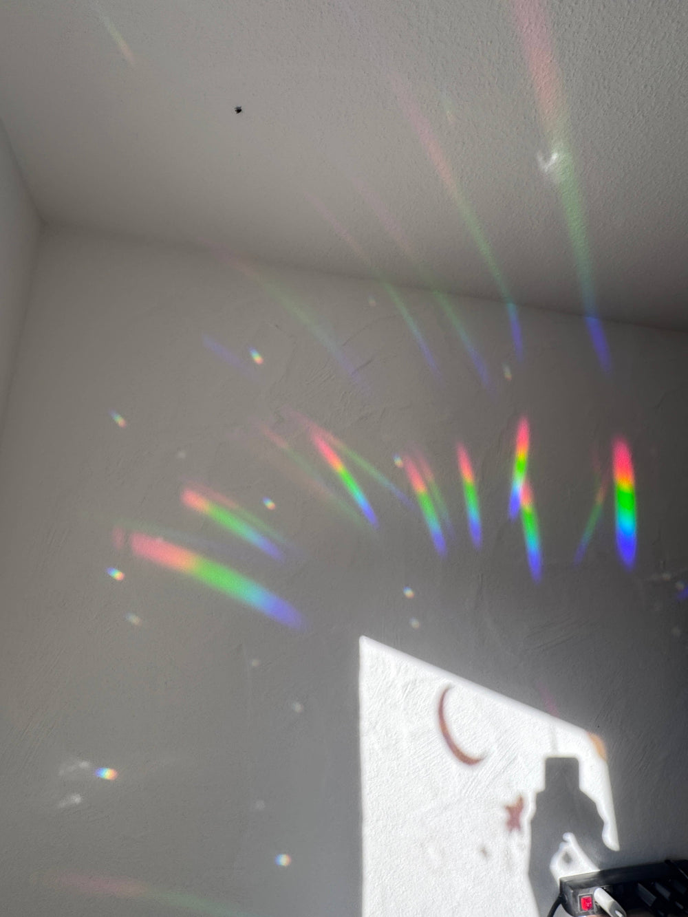 Sonnenfänger Fenster Gänseblümchen, Regenbogen Aufkleber