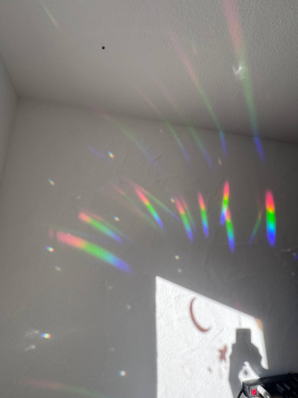 Sonnenfänger Fenster Gänseblümchen, Regenbogen Aufkleber