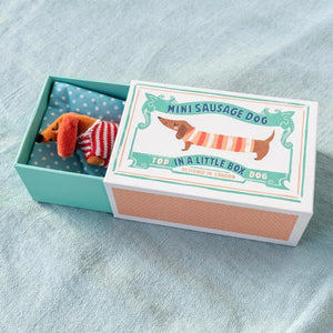 Mini-Dackel in einer kleinen Box
