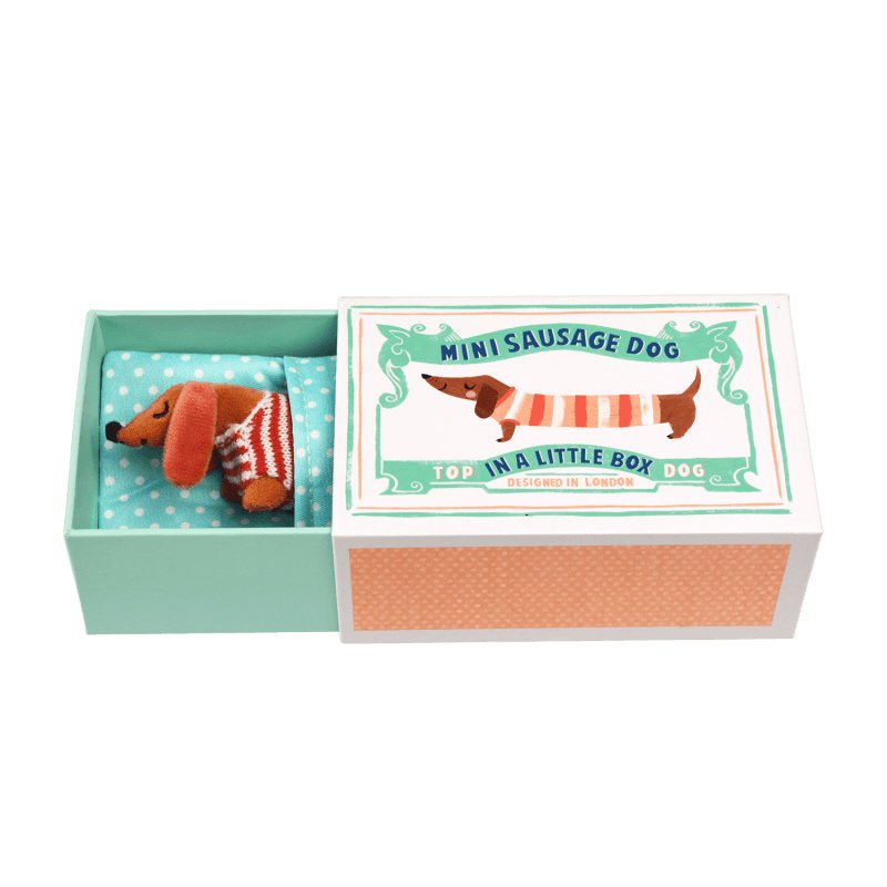 Mini-Dackel in einer kleinen Box