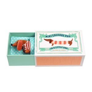 Mini-Dackel in einer kleinen Box