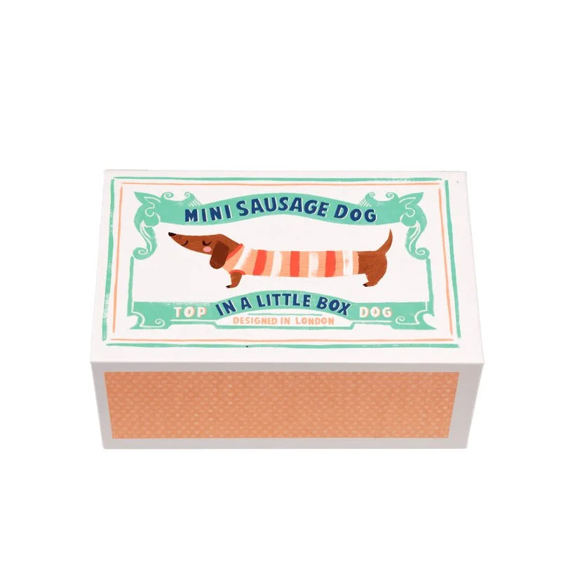 Mini-Dackel in einer kleinen Box