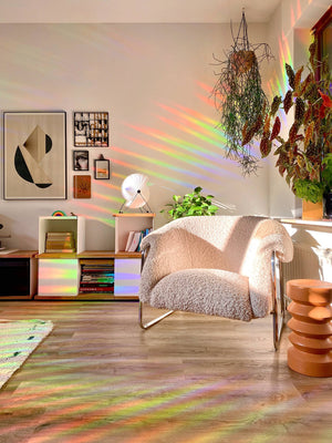 Sonnenfänger Fenster Gänseblümchen, Regenbogen Aufkleber
