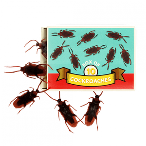 Scherzartikel - Box mit 10 Kakerlaken