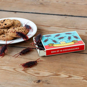Scherzartikel - Box mit 10 Kakerlaken