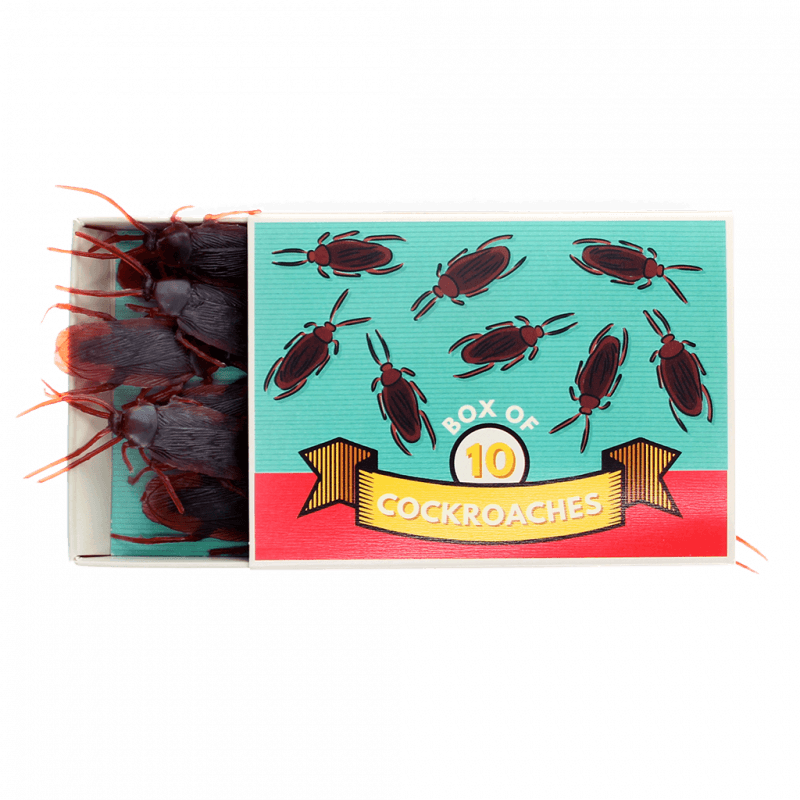 Scherzartikel - Box mit 10 Kakerlaken
