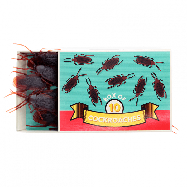 Scherzartikel - Box mit 10 Kakerlaken