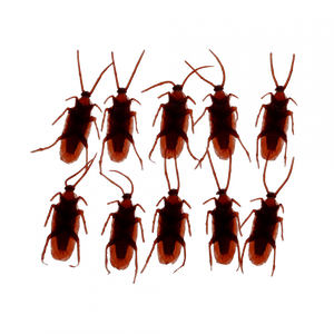 Scherzartikel - Box mit 10 Kakerlaken