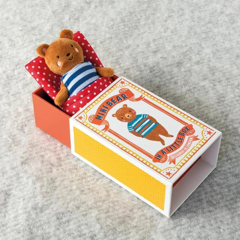 Mini-Bär in einer kleinen Box