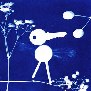 Kit CYANOTYPE "7 Blätter"