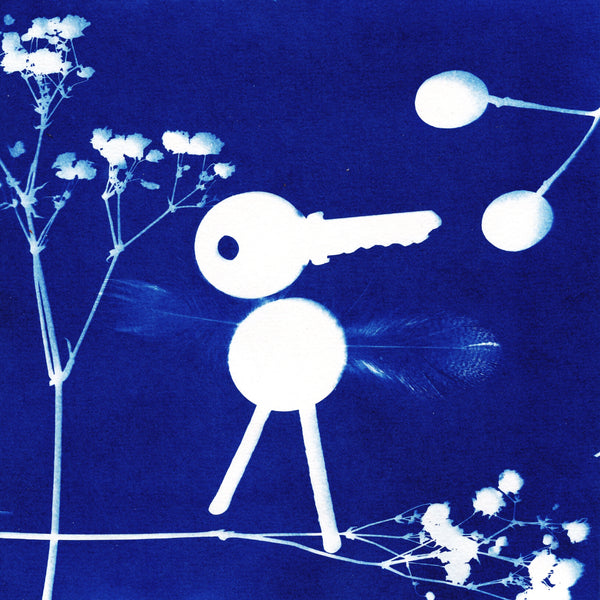 Kit CYANOTYPE "7 Blätter"