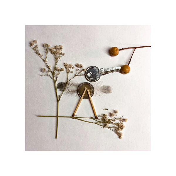 Kit CYANOTYPE "7 Blätter"