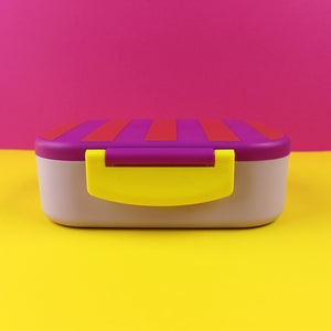 Brotdose/Lunchbox mit herausnehmbarem Einsatz,- violett/rot-flieder im Geschenkkarton