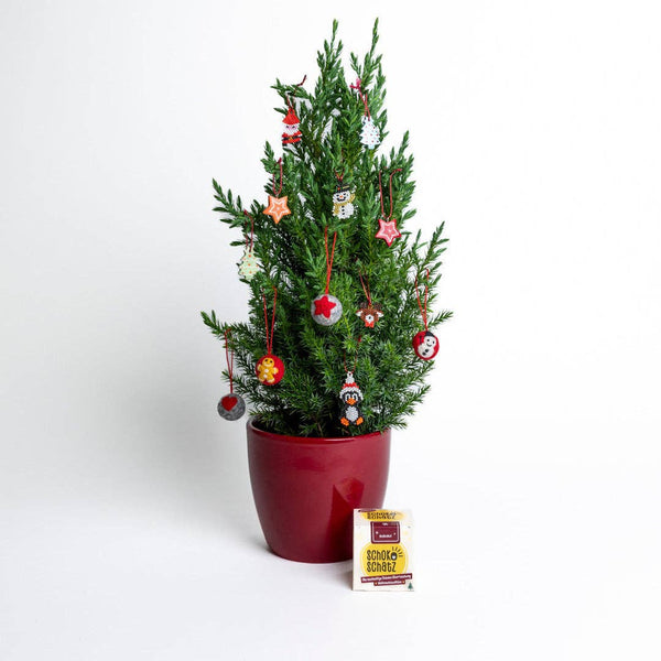 SchokoSchatz "Weihnachtsedition"