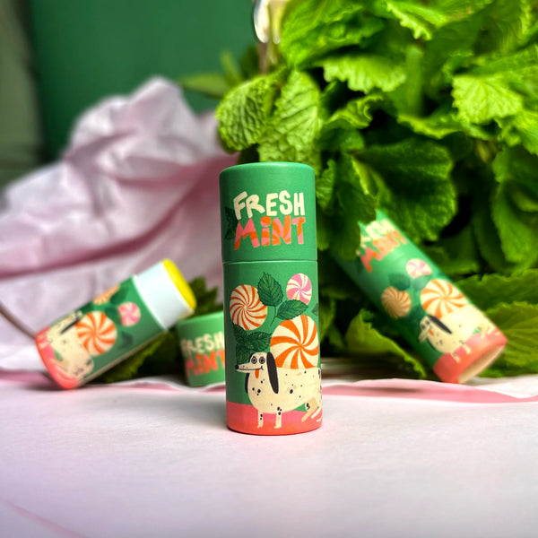 Lip Balm Fresh Mint | Slinga