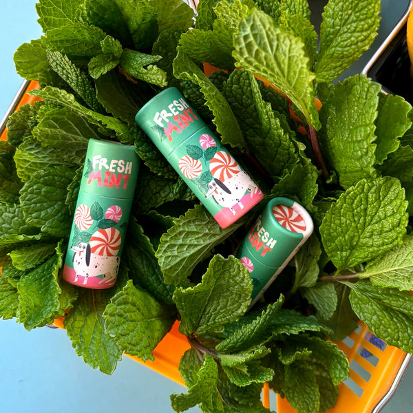 Lip Balm Fresh Mint | Slinga