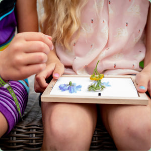 Bilderrahmen für gepresste Blumen