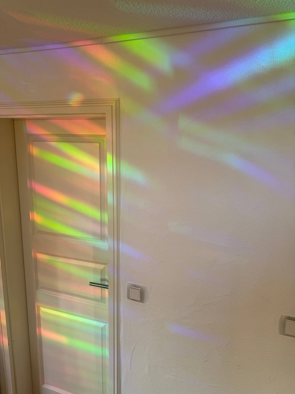 Sonnenfänger Fenster Gänseblümchen, Regenbogen Aufkleber