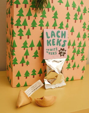 24 weihnachtliche Lachkekse mit Witz – veganer Glückskeks zum Lachen – 24 Stück