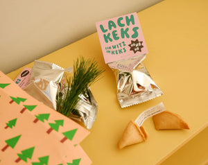 24 weihnachtliche Lachkekse mit Witz – veganer Glückskeks zum Lachen – 24 Stück