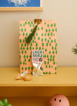 24 weihnachtliche Lachkekse mit Witz – veganer Glückskeks zum Lachen – 24 Stück